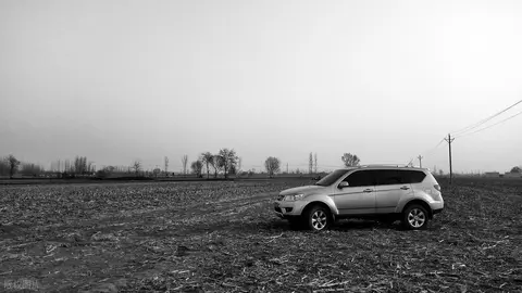 为什么村里人宁愿买日系油车也不买新能源车?答案原来是因为它！